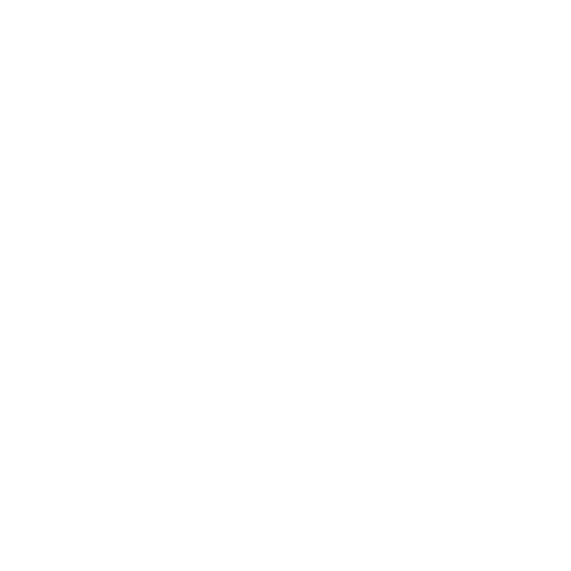 Dolphin Spark